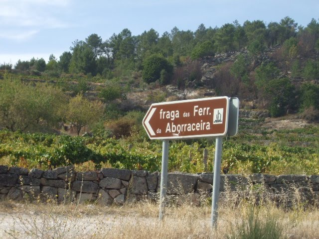 [passeios+023.JPG]