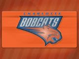 Charlotte Bobcats