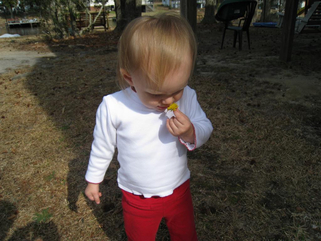 [IMG_3059+(Large).JPG]