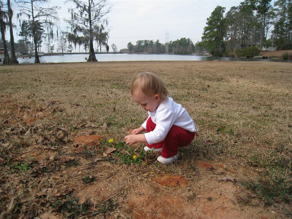 [IMG_3066+(Large).JPG]