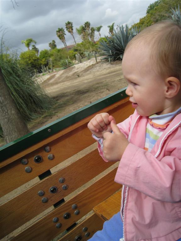 [california+2008+064+(Large).jpg]