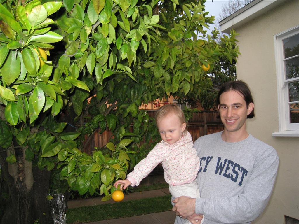 [california+2008+464+(Large).jpg]