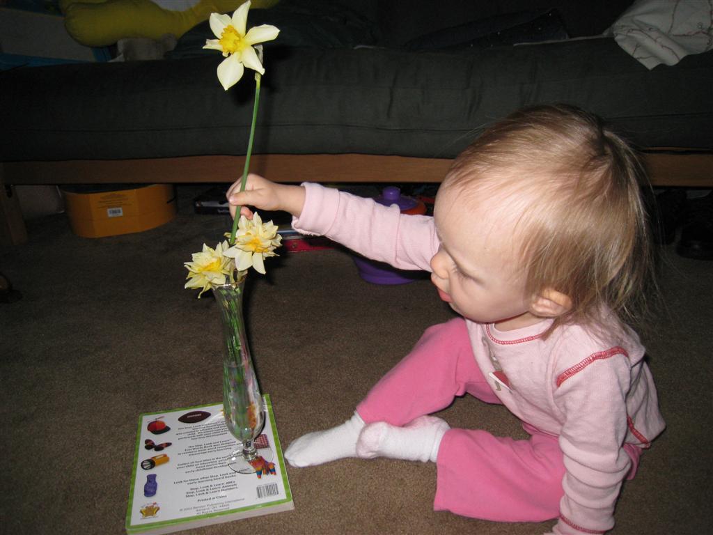 [IMG_4313+(Large).JPG]