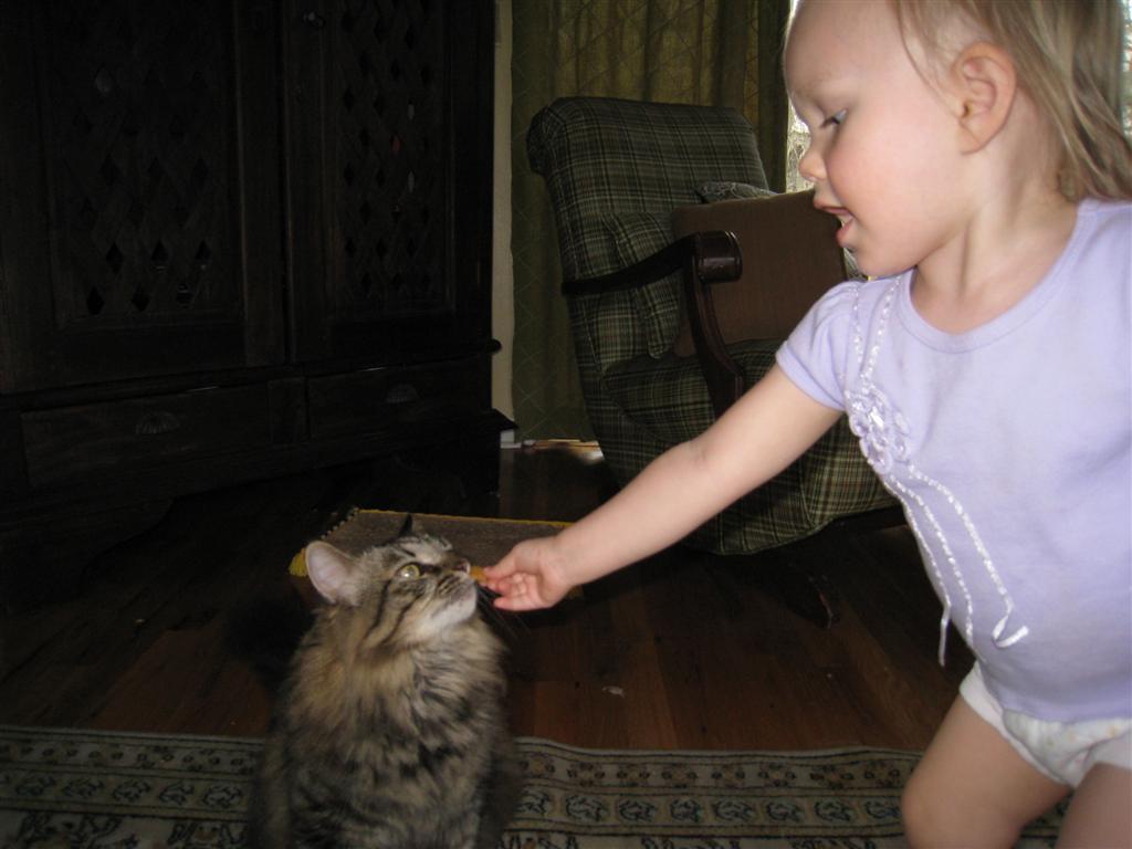 [IMG_4581+(Large).JPG]