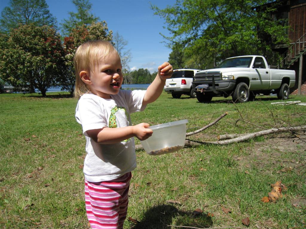 [IMG_5595+(Large).JPG]