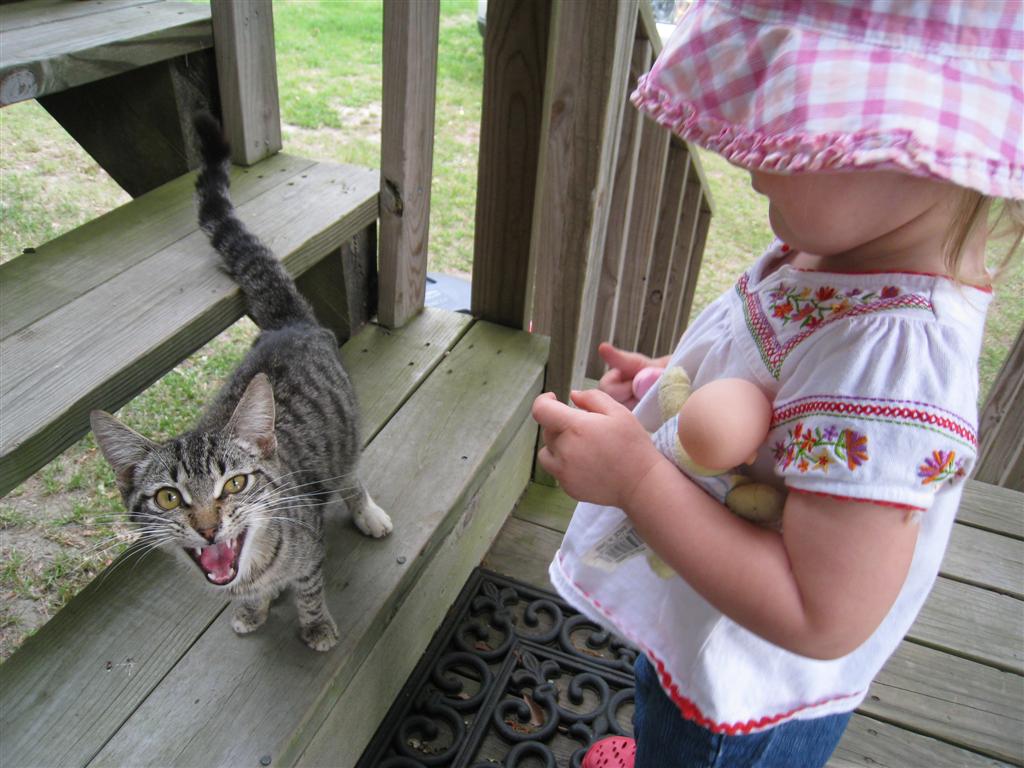 [April20th-May12+2008+204+(Large).jpg]