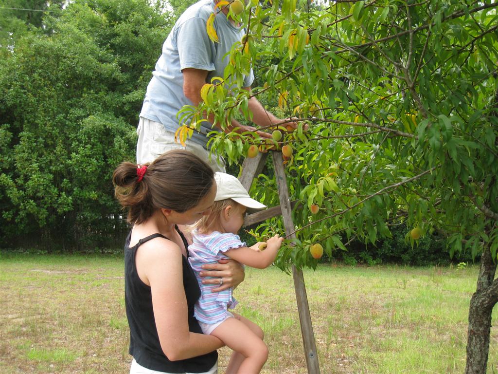 [june+21+2008+009+(Large).jpg]