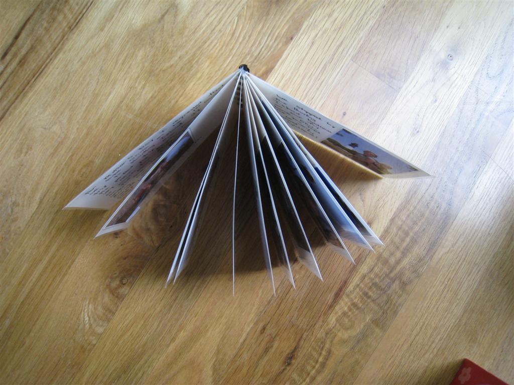 [IMG_7685+(Large).JPG]