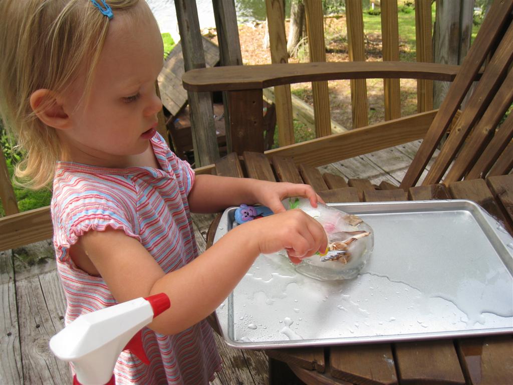 [IMG_8808+(Large).JPG]