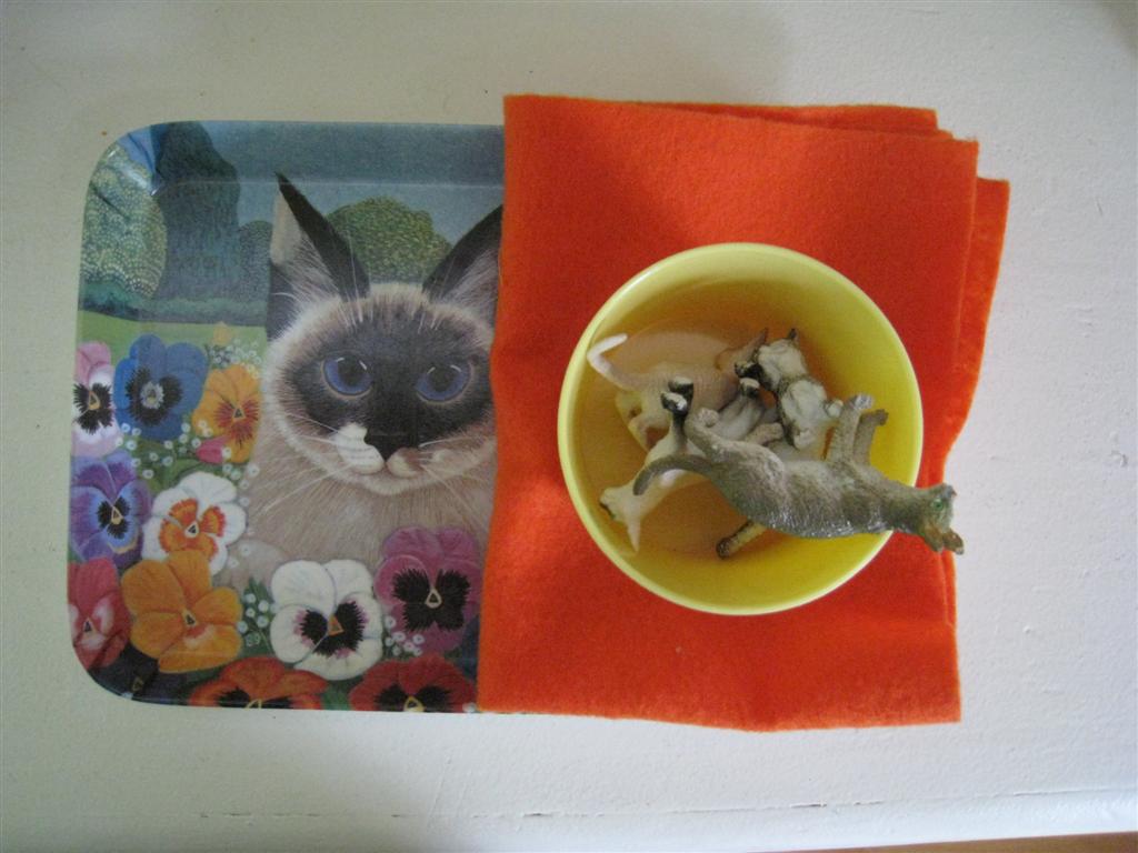 [IMG_9857+(Large).JPG]