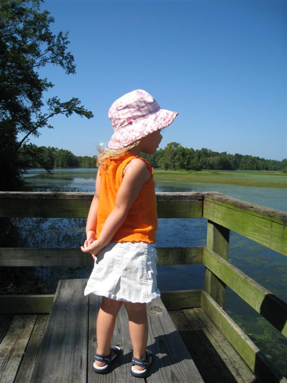 [IMG_0687+(Large).JPG]