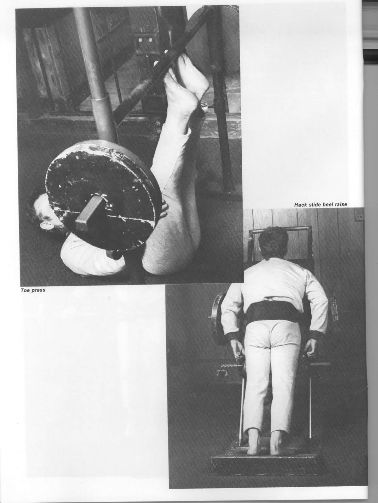Physical CounterCulture: Vince Gironda A Muscle Has Four ... Physical CounterCulture: Vince Gironda A Muscle Has Four ...