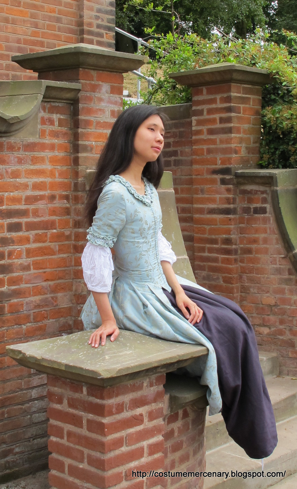 The Costume Mercenary Blue Damask Gown