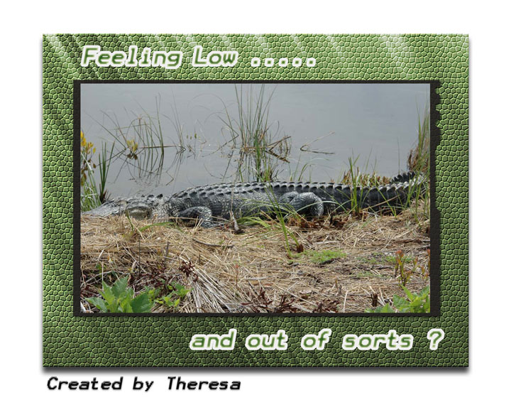 [Alligator-Card.jpg]