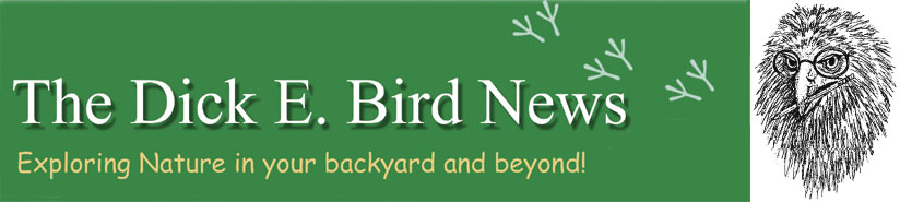 The Dick E. Bird News Online / No Longer in Print