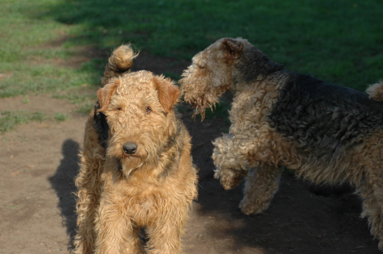 [haircut+henry-45.jpg]