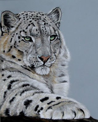 MAKING A MARK: Two wildlife art competitions and a snow leopard
