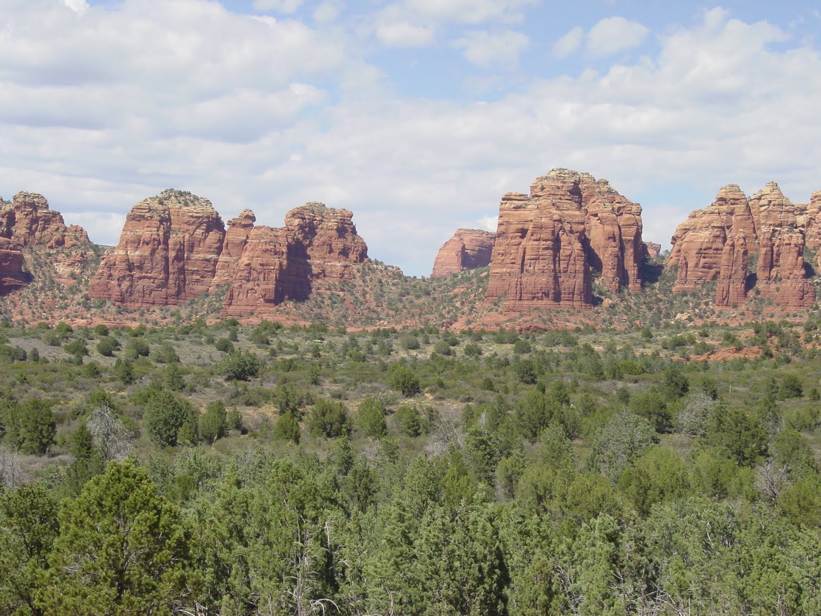 Tucson Daily Happenings Pink Jeep Tours in Sedona, Arizona!