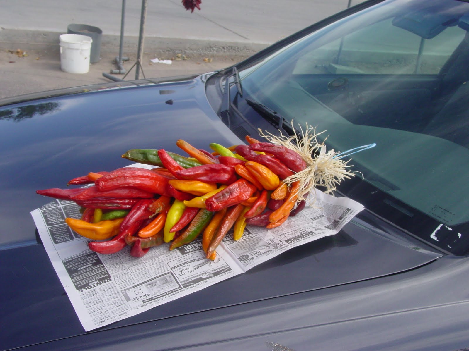 Tucson Daily Happenings "Chiles from Hatch, New Mexico"