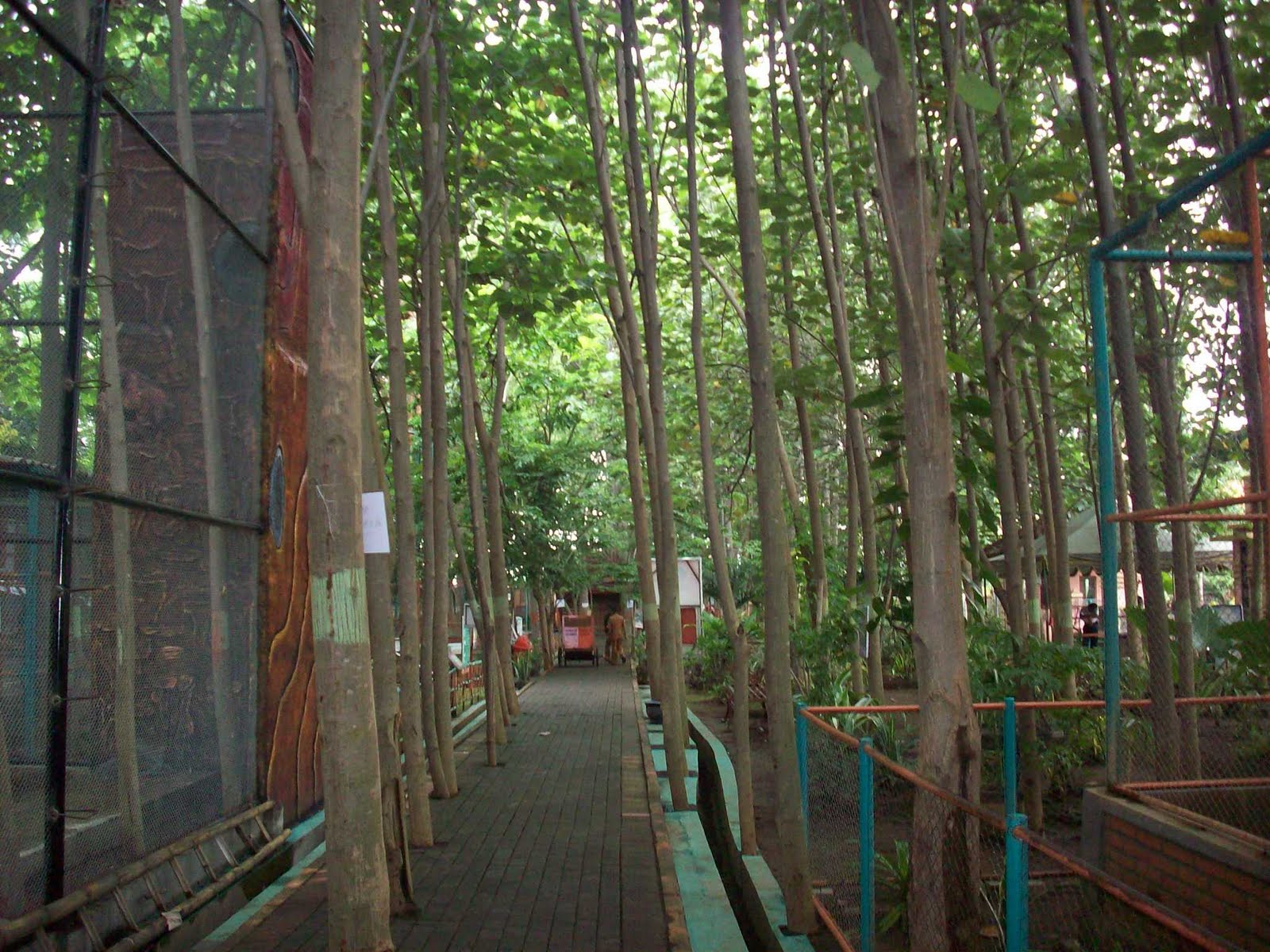 Tempat Wisata di Probolinggo | Wong Leces