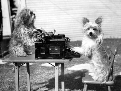 dogs on a typewriter