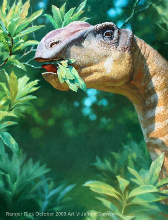 [Gryposaurus.vsm.jpg]