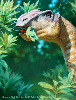 Gryposaurus, Part 2