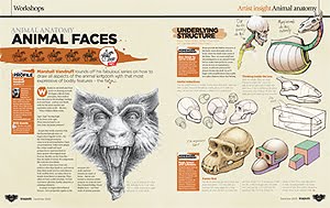 [animal.jpg]