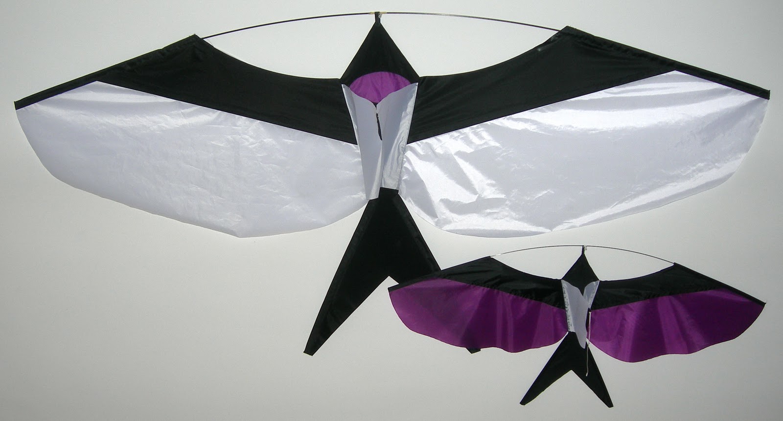 Bkites Birds on a single line