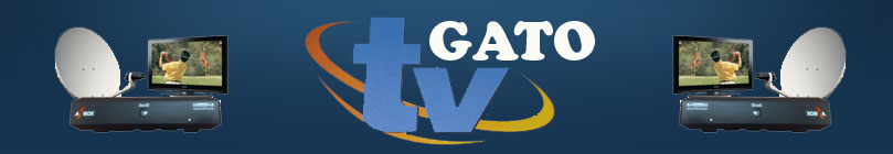 .::TV  GATO: :.  2010