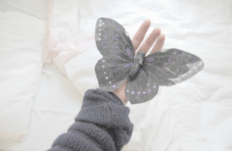 butterfly wings of winter