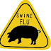 Swine Flu in Pakistan- Free Doctor Advice, Precautions, Symptoms