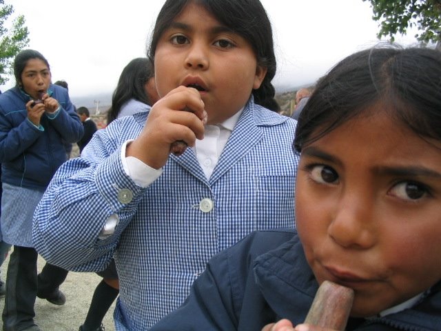 Proyectos Educativos