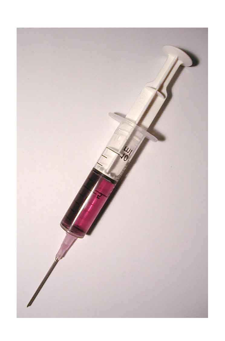 [needle.jpg]