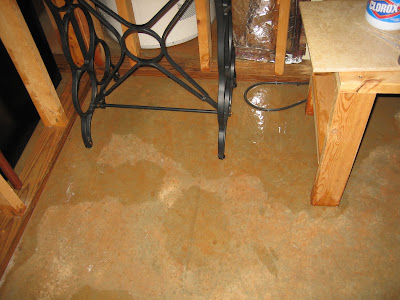 Bosch Dishwasher Flooding of Our Kitchen, Dining Room and Basement: The