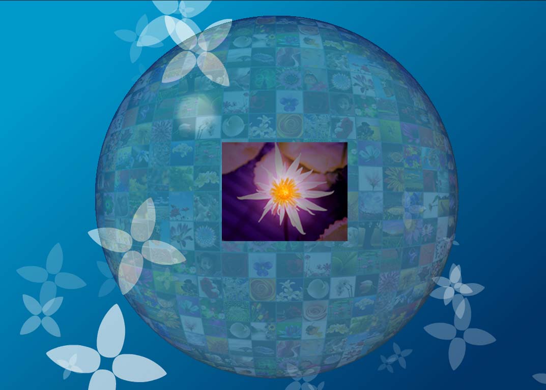 [3.results3-759375.jpg]