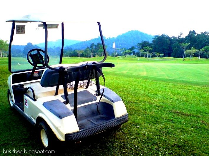 Golfer's buggy golf buggy