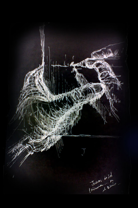 A traves de trazos ....