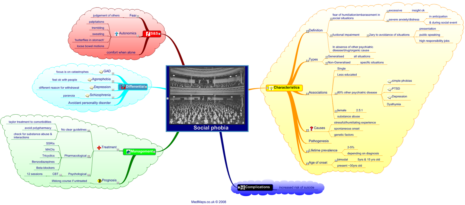 Mind Map Of Social Phobia