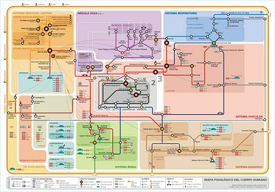 Mapa de metro de la Fisiología humana