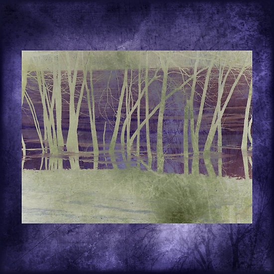 [winter+trees+monotype.jpg]