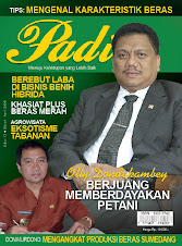 Majalah Padi Edisi 13 2008