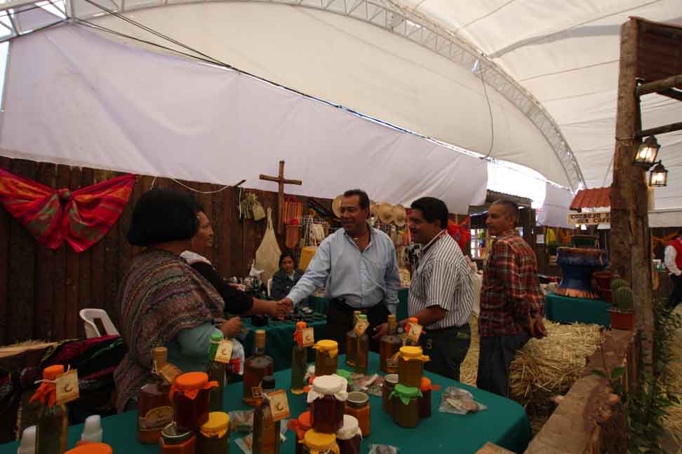 Mundo Informativo Hidalgo Obtienen Productores Hidalguenses Ganancias De 200 Mil Pesos En La 