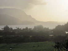 Hanalei Bay - Overlooking from South View