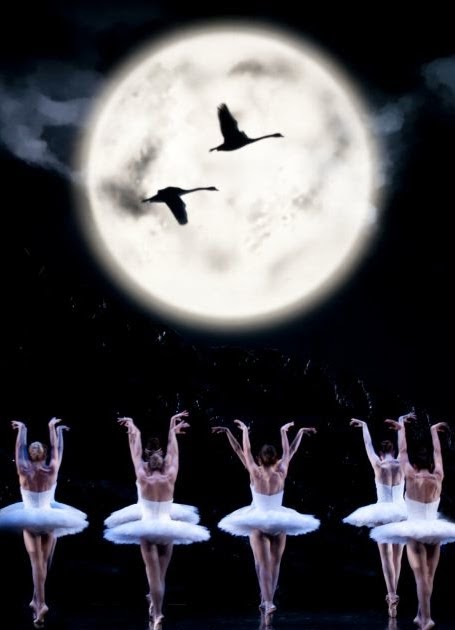 Emma Fitzgerald: Swan Lake Theatre Projections