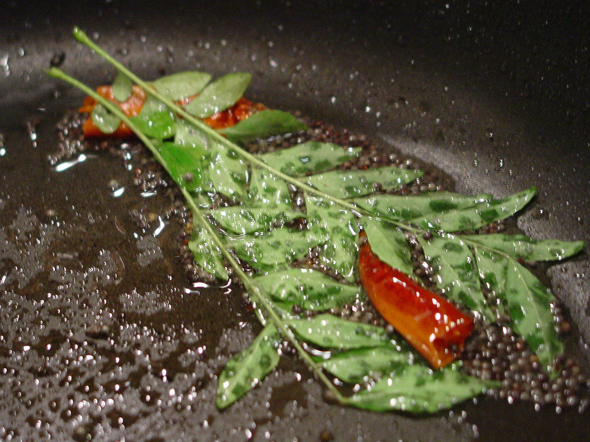 [okra-phodni.jpg]