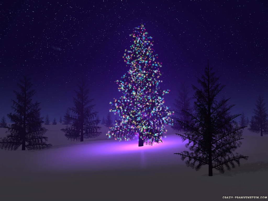 Harbor Village Christmas Trees: Best of Christmas Tree 