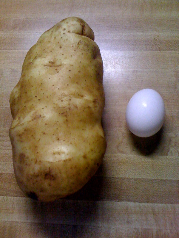 [Potato.jpg]