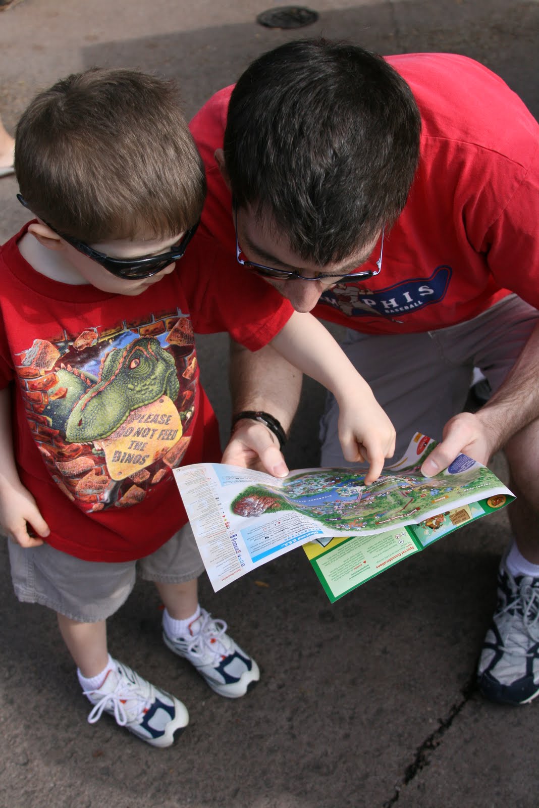 pass the pineapple: animal kingdom