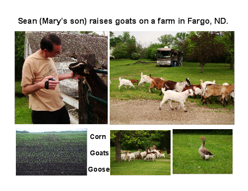 Sean's Goat Farm in Fargo, ND